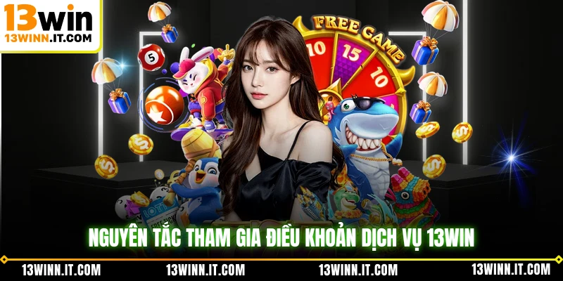 Nguyên tắc tham gia điều khoản dịch vụ 13WIN